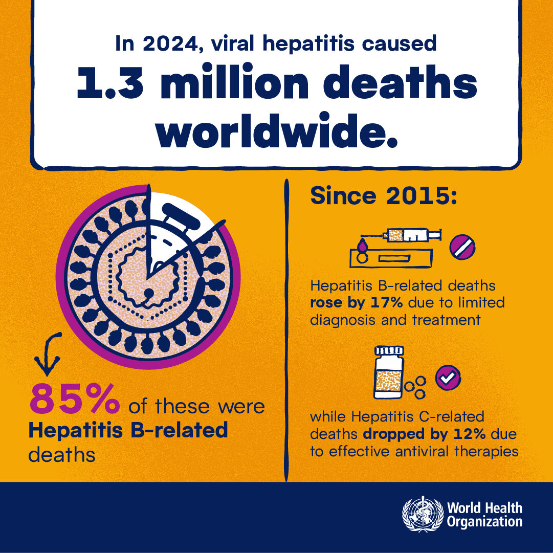 Infographic from WHO reporting that in 2024 viral hepatitis caused 1.3 million deaths worldwide. 85% of these were Hepatitis B-related deaths. Since 2015, B-related deaths rose by 17% due to limited diagnosis and treatment; while Hepatitis C-related deaths dropped by 12% due to effective antiviral therapies